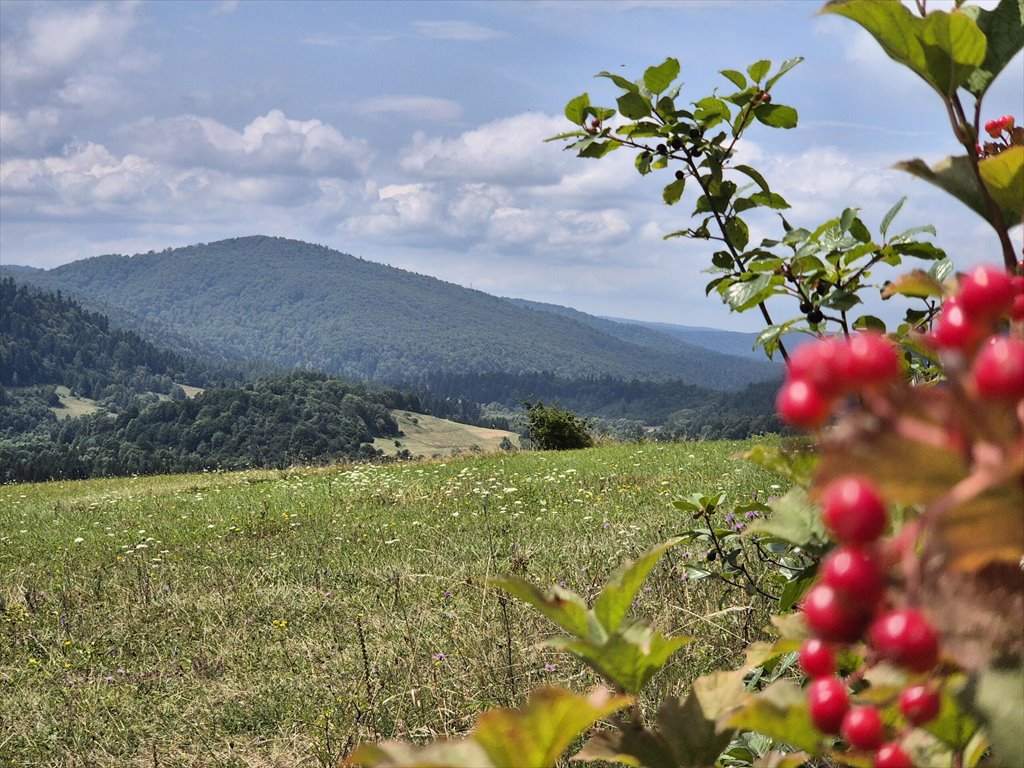 Działka rolna na sprzedaż Posada Jaśliska  9 300m2 Foto 4