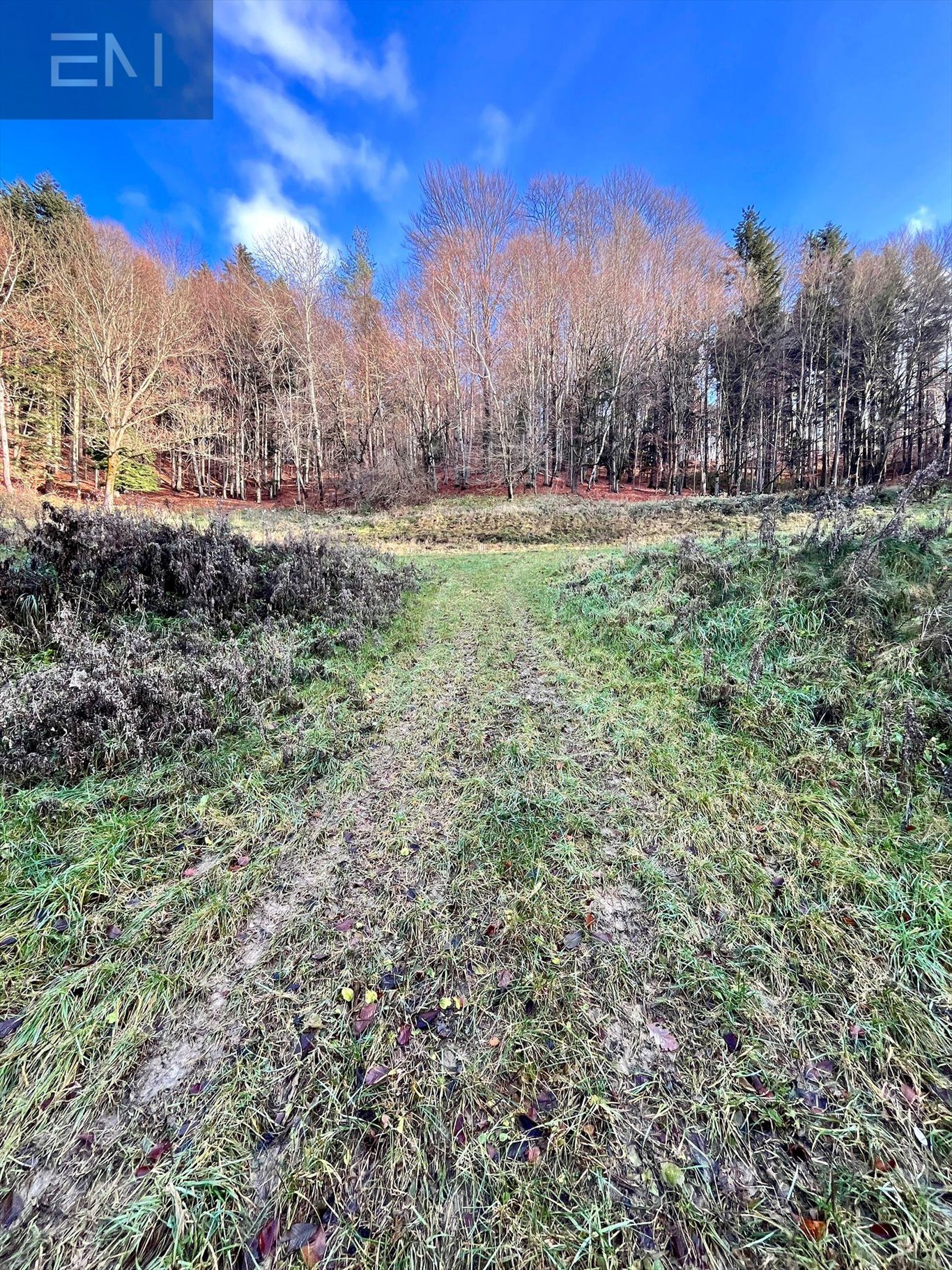 Działka budowlana na sprzedaż Żarnowa  21 100m2 Foto 5