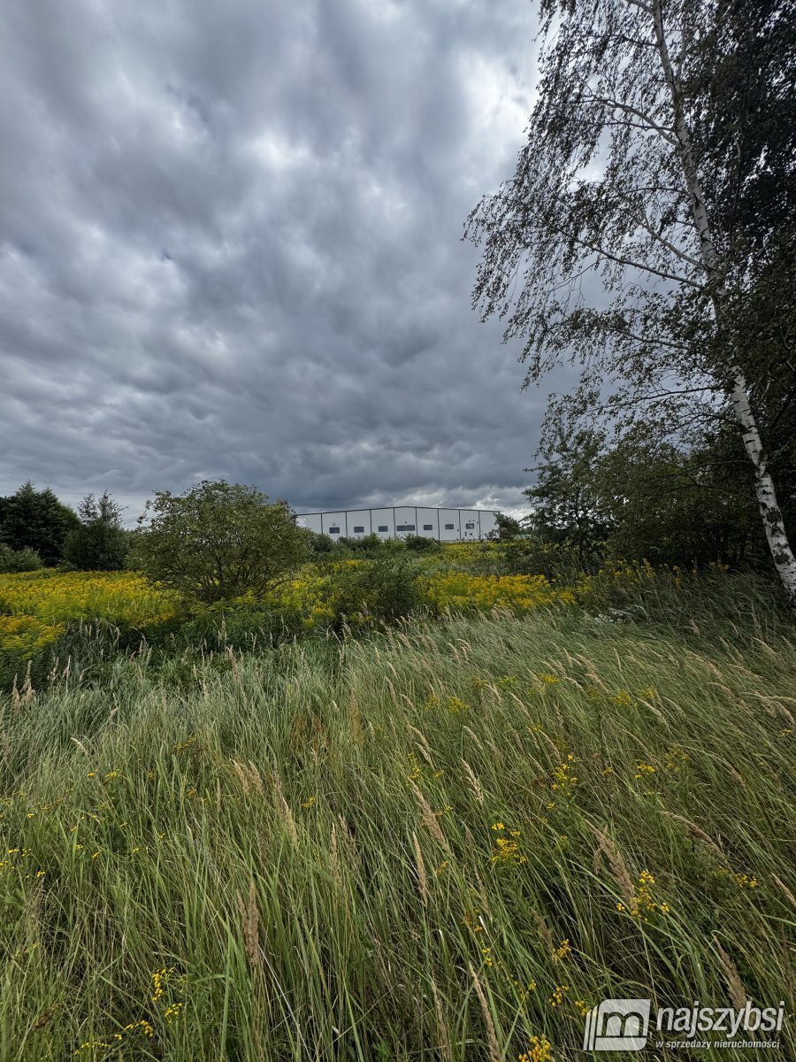 Działka przemysłowa 7357 m² w Szczecinie Wielgowo - media w drodze Szczecin, Wielgowo  7 357m2 Foto 1