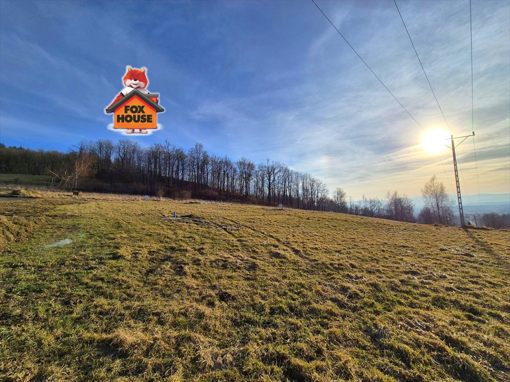 Działka budowlana na sprzedaż Janowice Wielkie, Radomierz  1 376m2 Foto 1