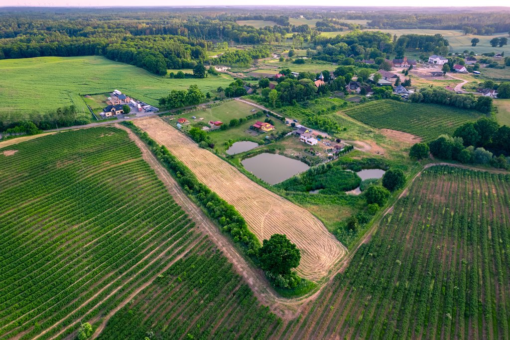 Działka rolna na sprzedaż Trzcińsko-Zdrój  7 926m2 Foto 14