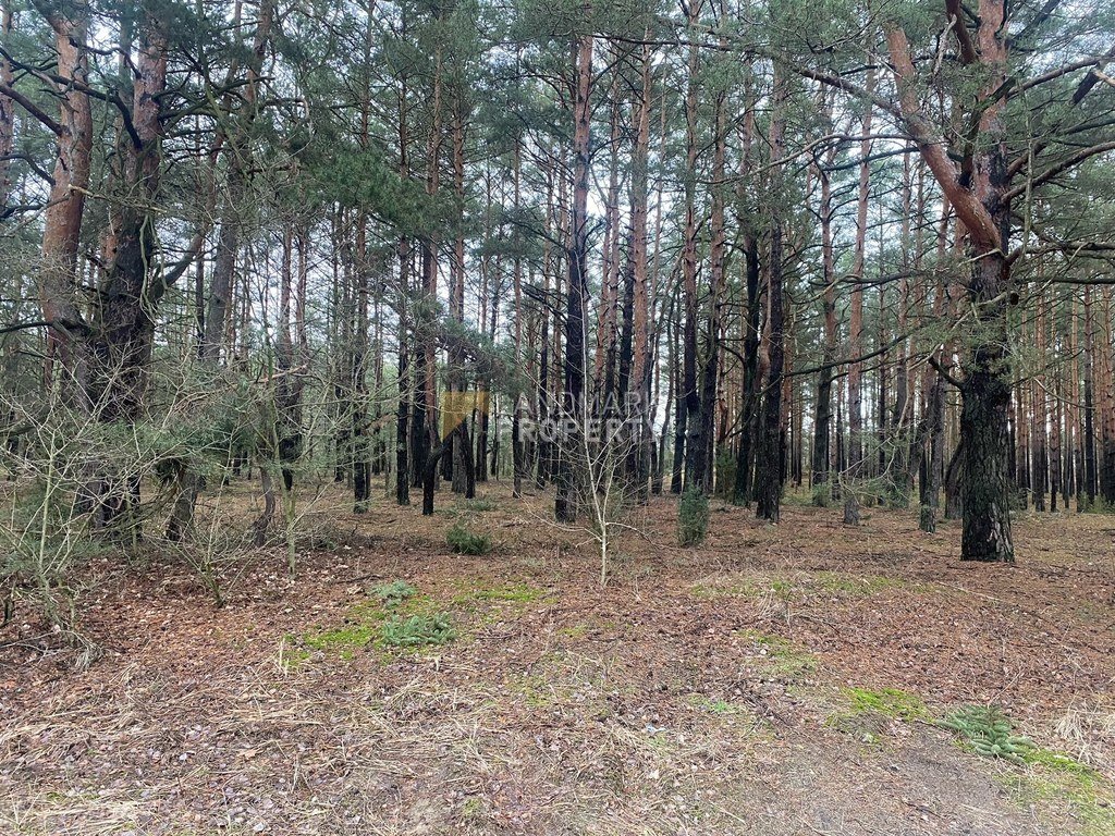 Działka budowlana na sprzedaż Radzymin, Piaskowa  1 549m2 Foto 2