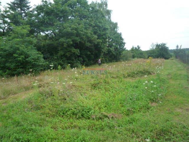 Działka budowlana 1000 m² w Sierzchowie, szer. 43 m Sierzchów, Sierzchów  1 000m2 Foto 1