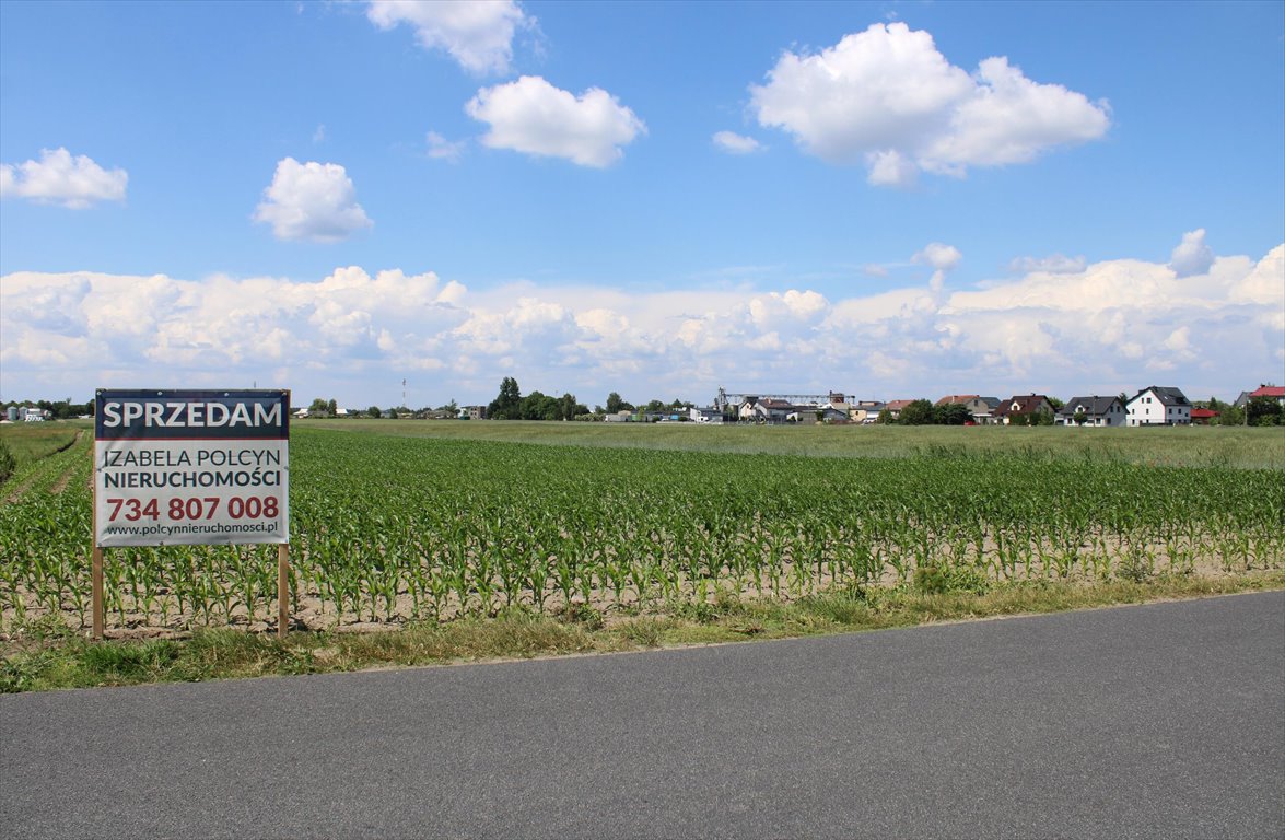 Działka przemysłowo-handlowa na sprzedaż Budzyń  7 800m2 Foto 6