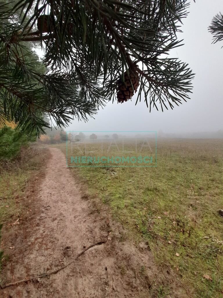 Działka budowlana na sprzedaż Chrzanów Mały  1 500m2 Foto 1