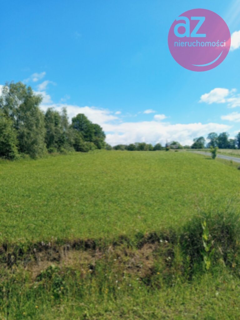 Działka 2,61 ha z lasem i terenem budowlanym - zapraszam Łużna  26 100m2 Foto 1