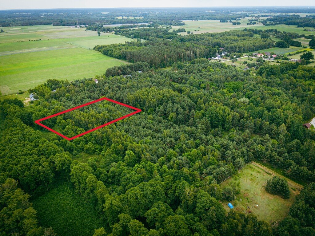Działka 3960 m2 pod budowę domu z własnym lasem! Pelagia, Zagłoby  3 960m2 Foto 1