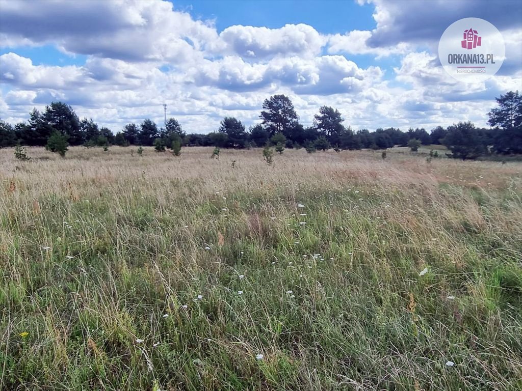 Działka budowlana na sprzedaż Jabłonka, Jabłonka  2 000m2 Foto 3