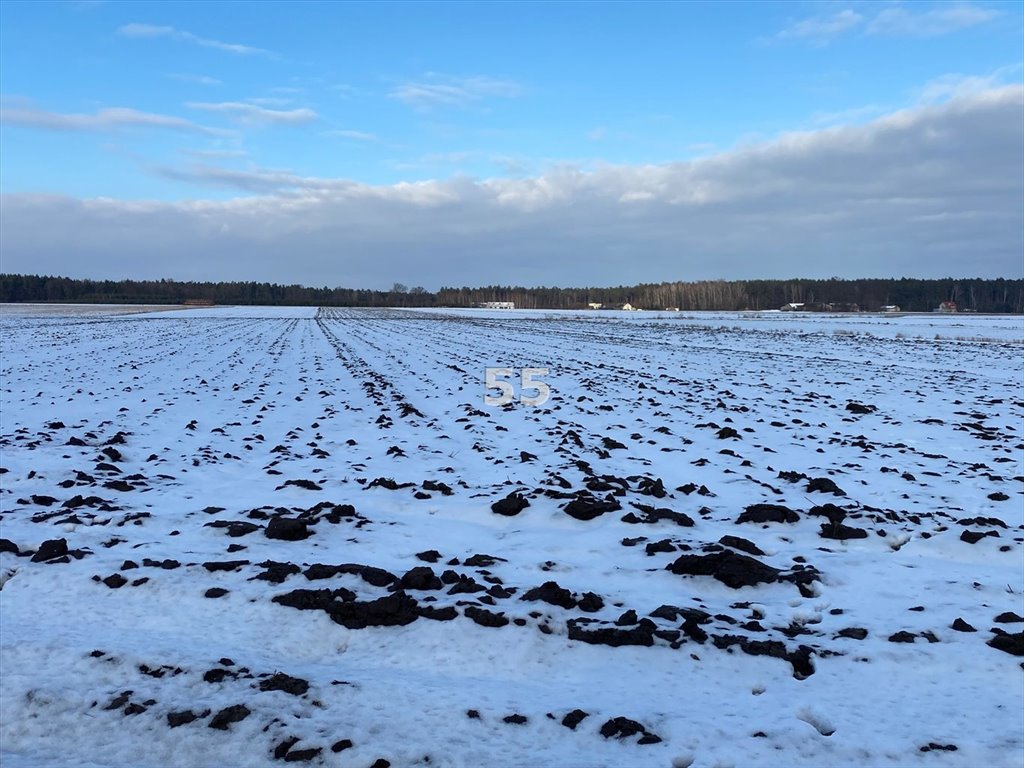 Działka siedliskowa na sprzedaż Wodzierady  3 100m2 Foto 1