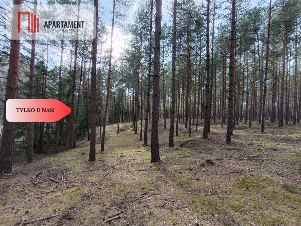 Działka leśna na sprzedaż Czarne  77 405m2 Foto 1