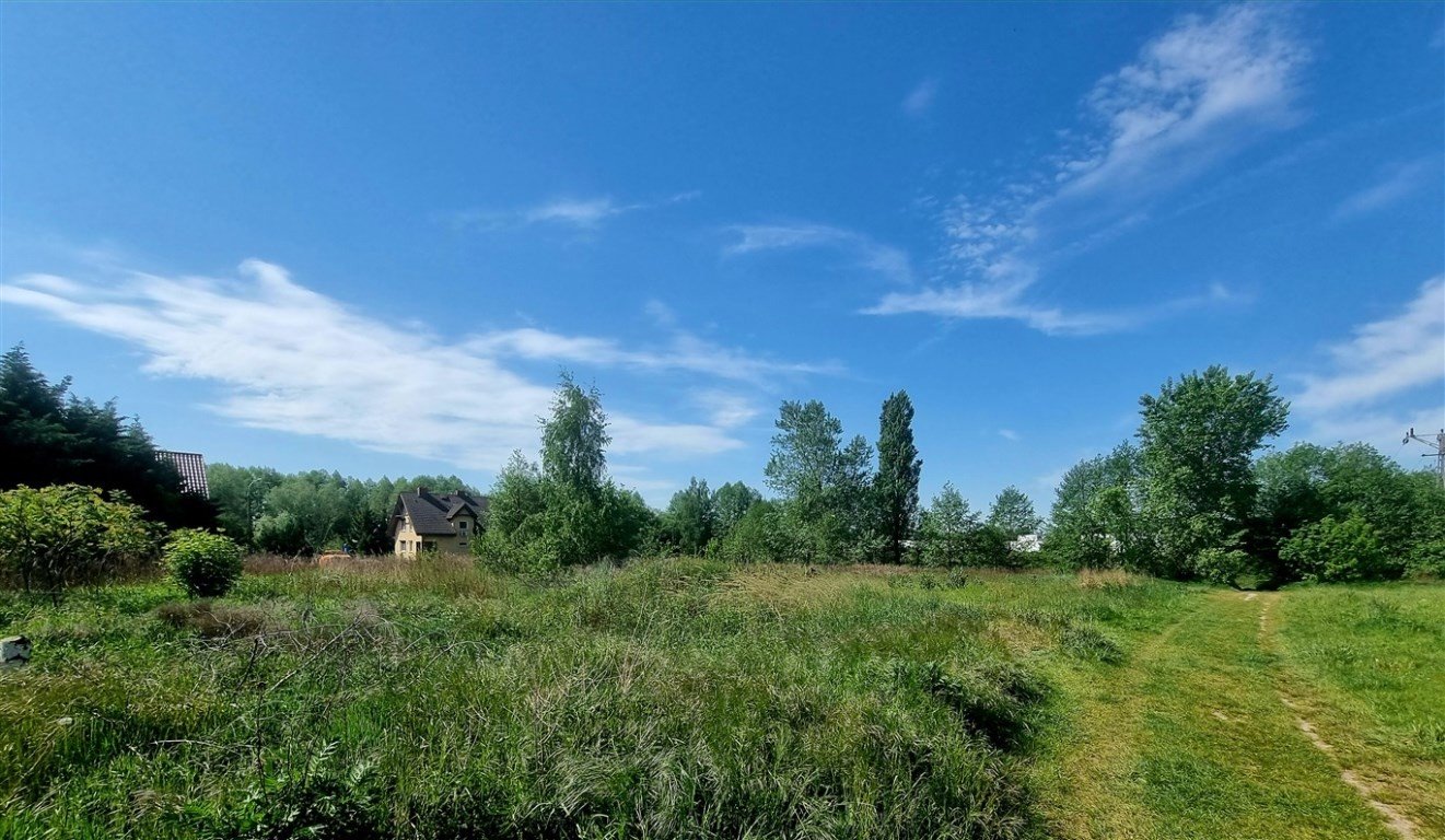 Działka inwestycyjna 4000 m² z WZ, dojazd z dwóch stron Płock, Swojska  4 000m2 Foto 1