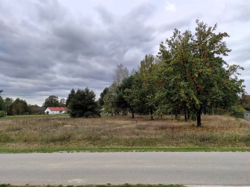 Działka budowlana na sprzedaż Jagodnik  3 400m2 Foto 4