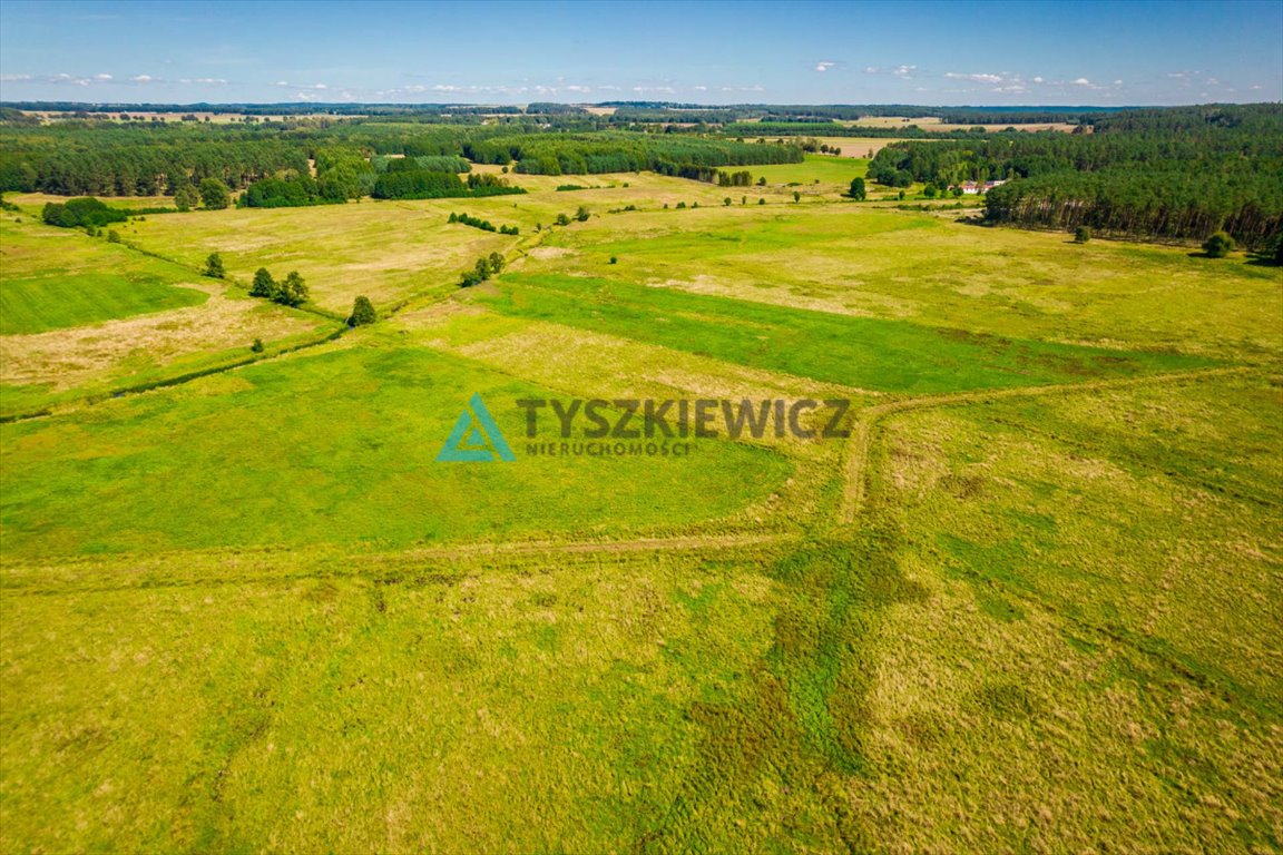 Działka rolna na sprzedaż Poborowo  9 200m2 Foto 8