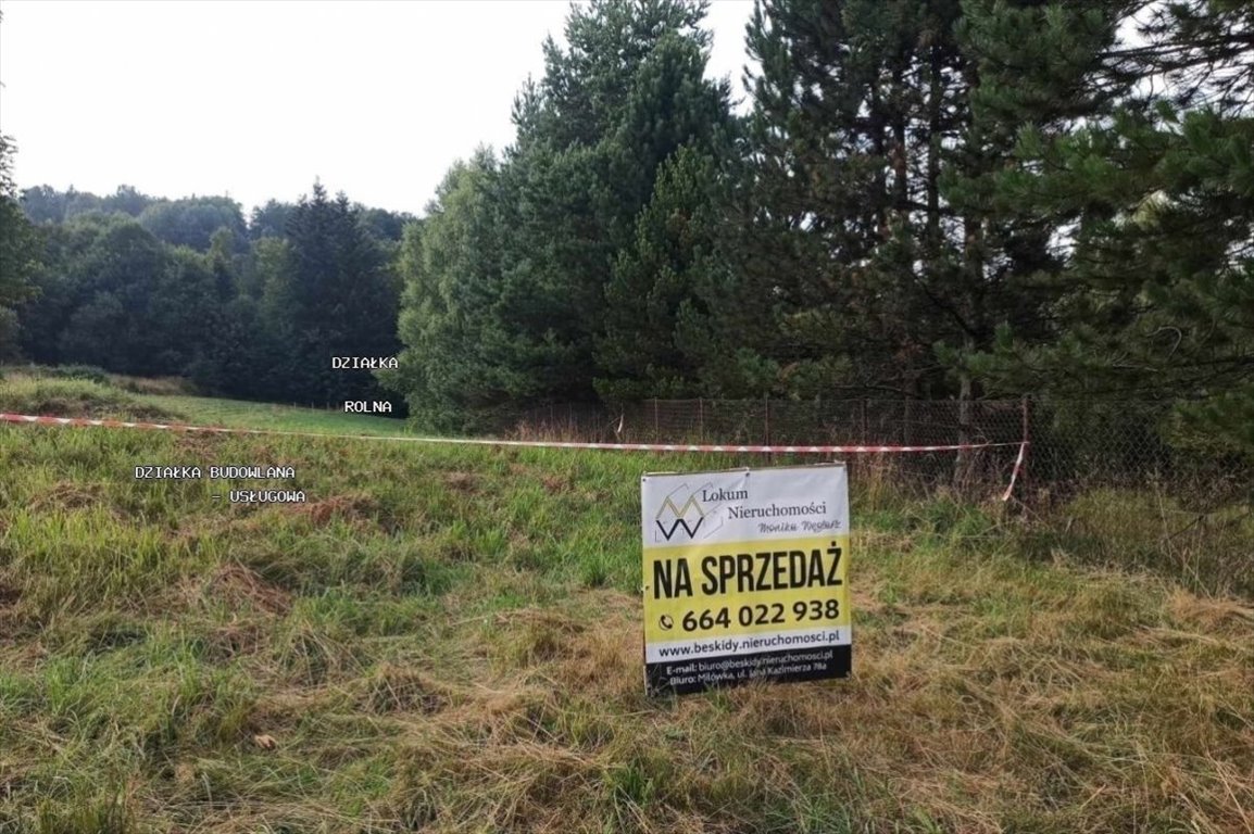 Działka budowlana na sprzedaż Laliki  3 347m2 Foto 1