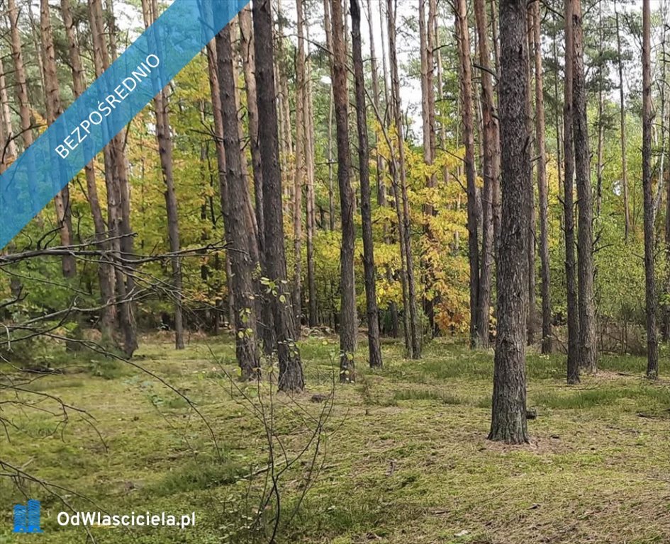 Mieszkanie trzypokojowe na sprzedaż Jabłonna  50m2 Foto 15