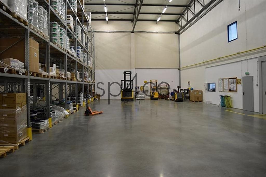 Lokal użytkowy na wynajem Lubartów 500m2 Foto 1 Lokal użytkowy na wynajem Lubartów 500m2 Foto 1