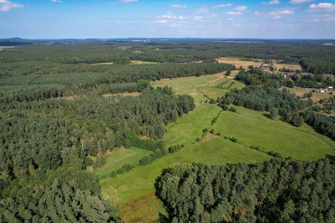 Działka budowlana na sprzedaż Lękwica  3 100m2 Foto 4