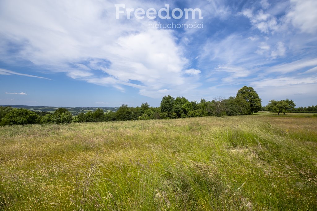 Działka budowlana na sprzedaż Wielopole Skrzyńskie  12 400m2 Foto 11