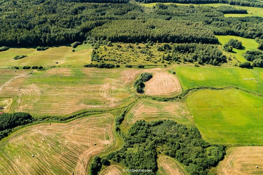 Działka budowlana na sprzedaż Wilnowo  1 535m2 Foto 5