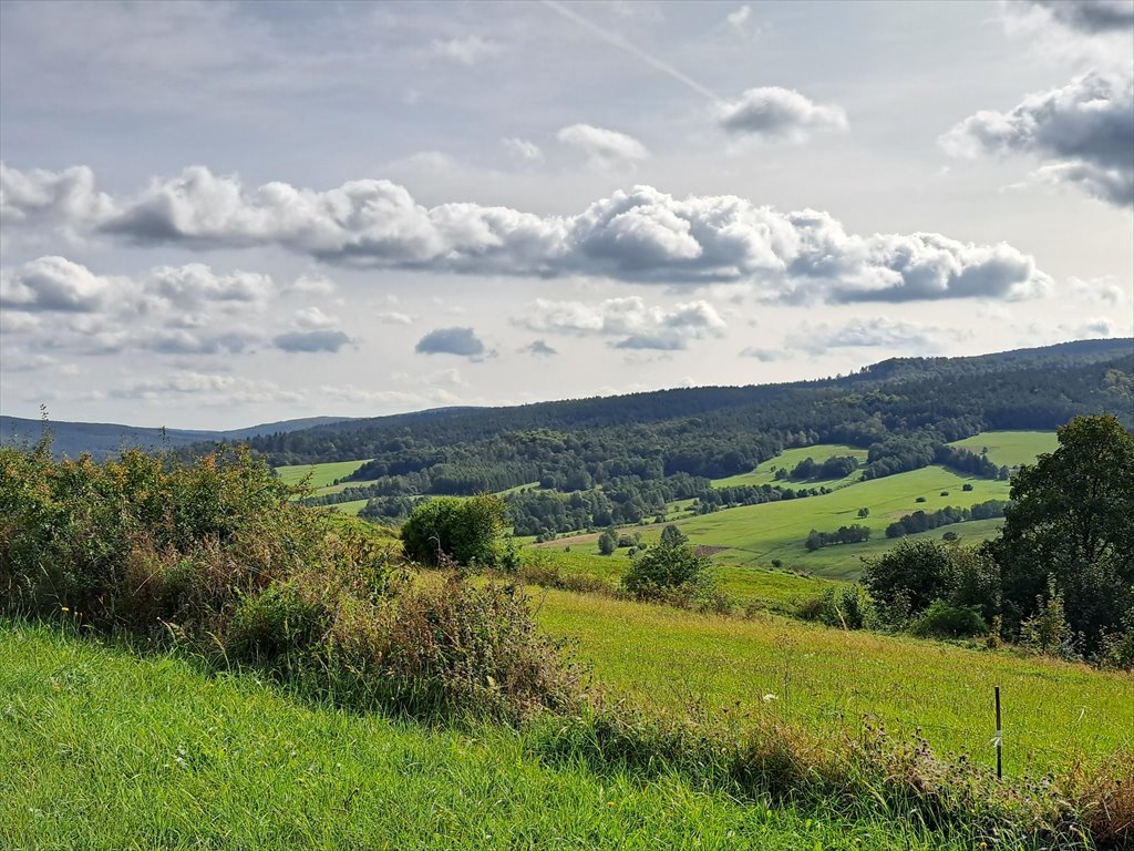 Działka rolna na sprzedaż Posada Jaśliska  9 900m2 Foto 3