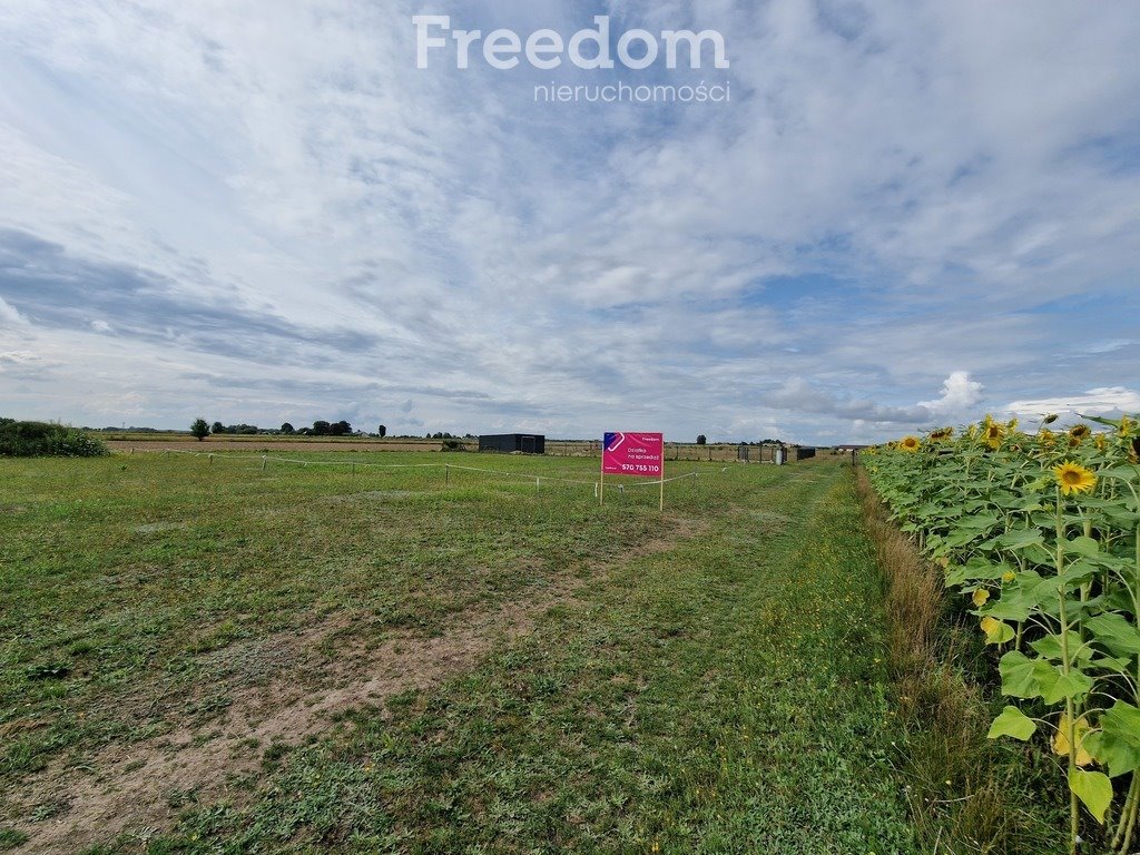 Działka budowlana na sprzedaż Grabanów-Kolonia  1 200m2 Foto 3