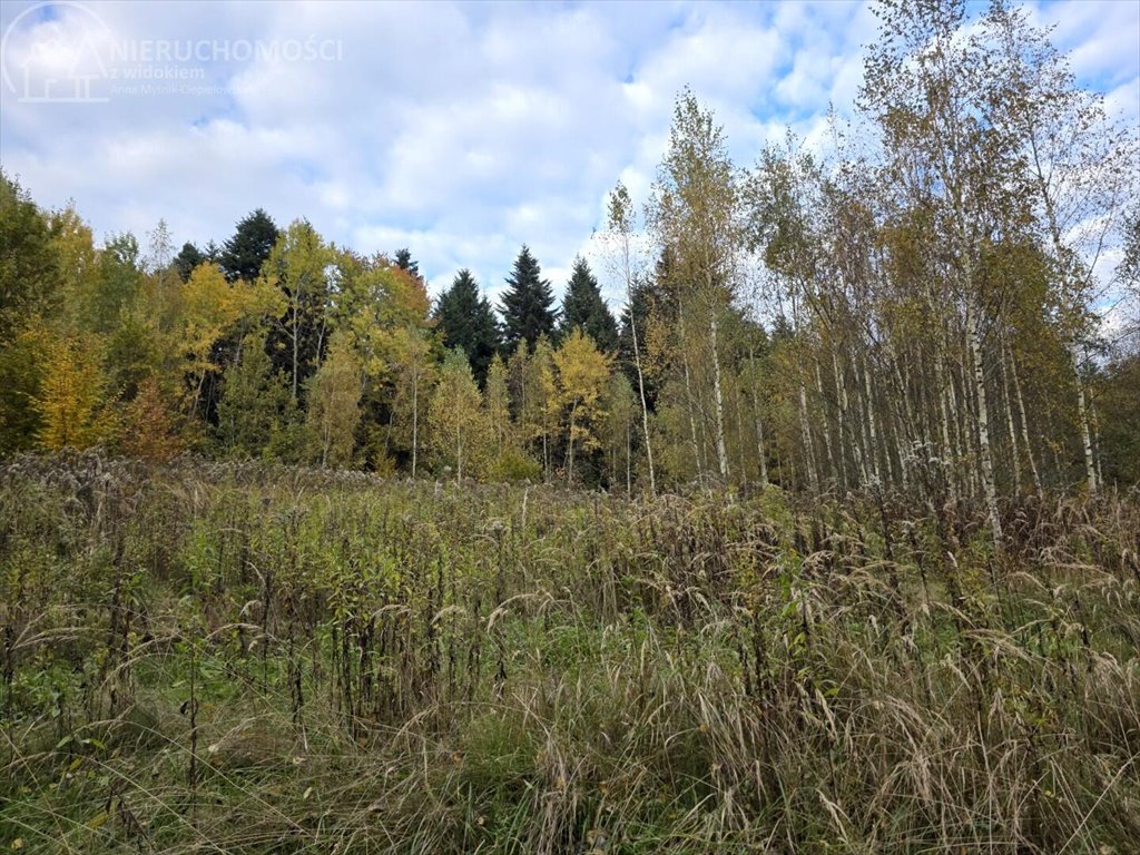 Działka rolna na sprzedaż Strzeszyn  3 712m2 Foto 1