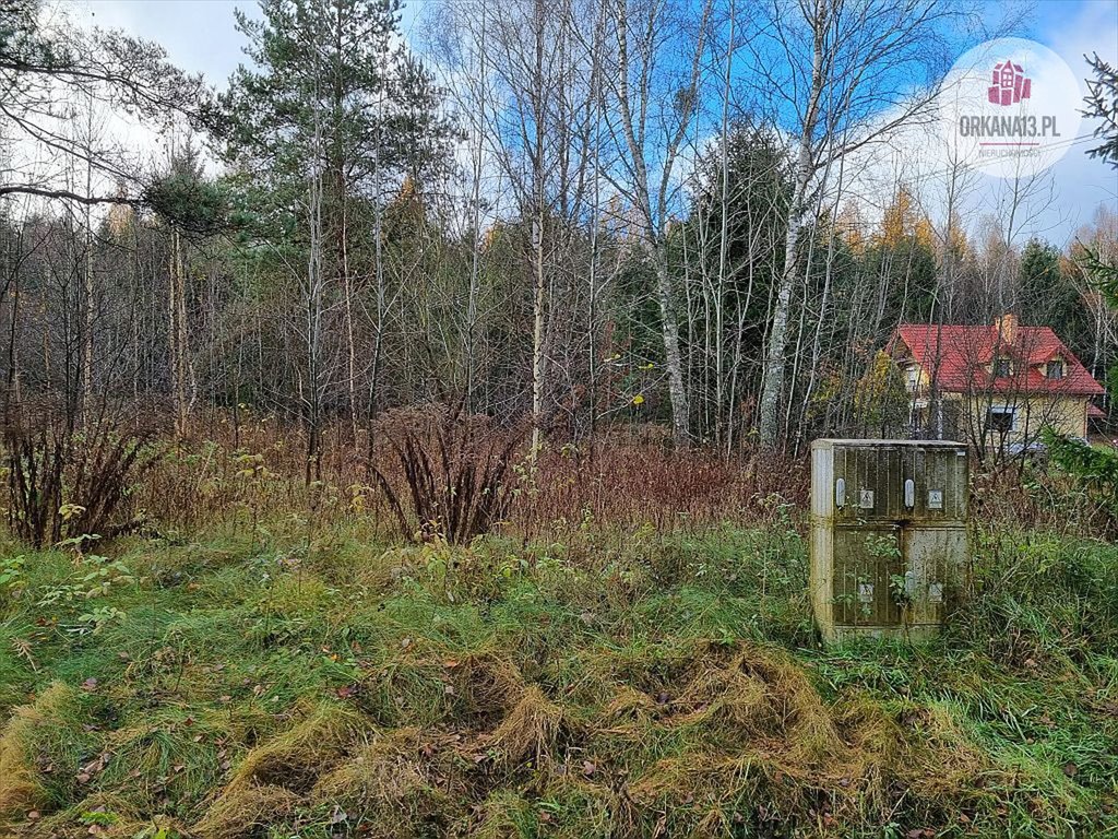 Działka rolna na sprzedaż Stękiny, Stękiny  18 707m2 Foto 3