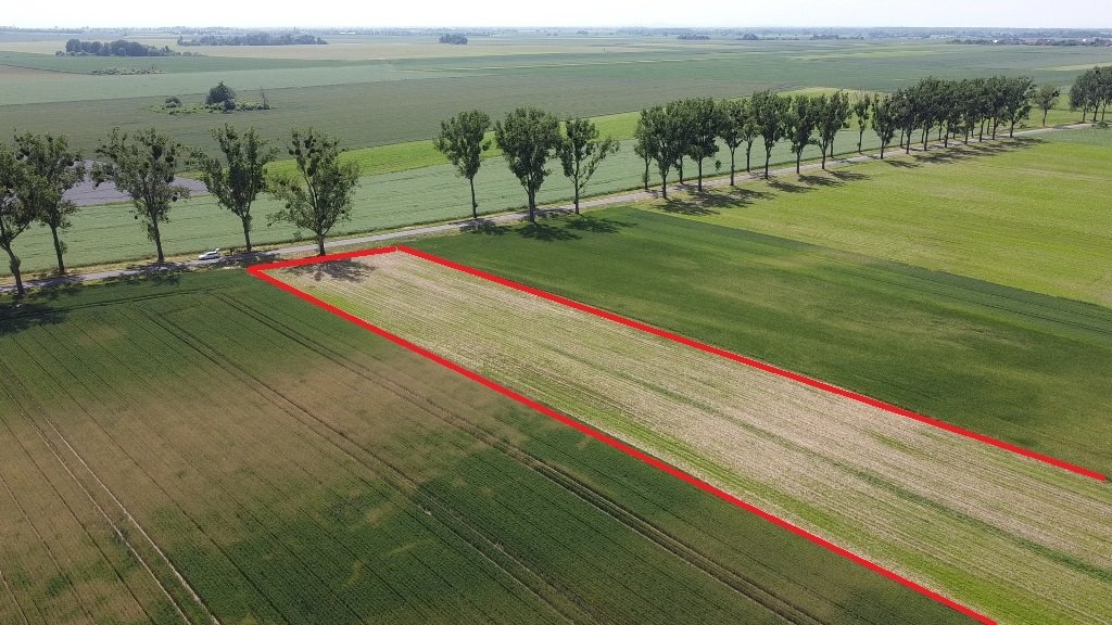 Działka budowlana na sprzedaż Zwanowice  6 500m2 Foto 1