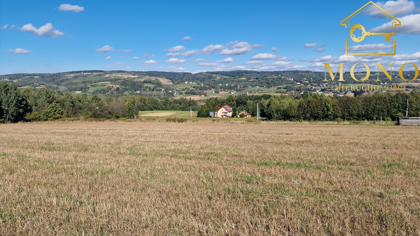 Działka budowlana na sprzedaż Buchcice  9 100m2 Foto 12