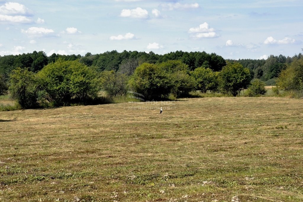 Działka rolna na sprzedaż Dybowo  43 751m2 Foto 12