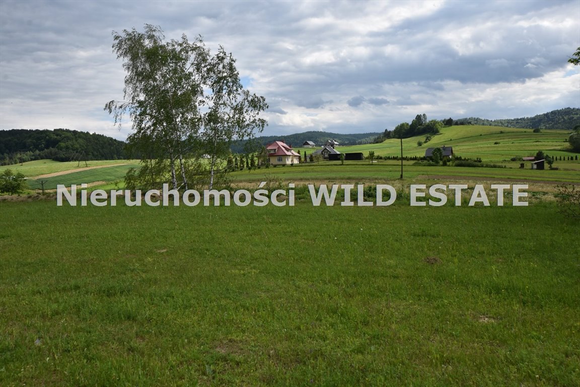 Działka rolna na sprzedaż Lesko, Średnia Wieś  2 600m2 Foto 2