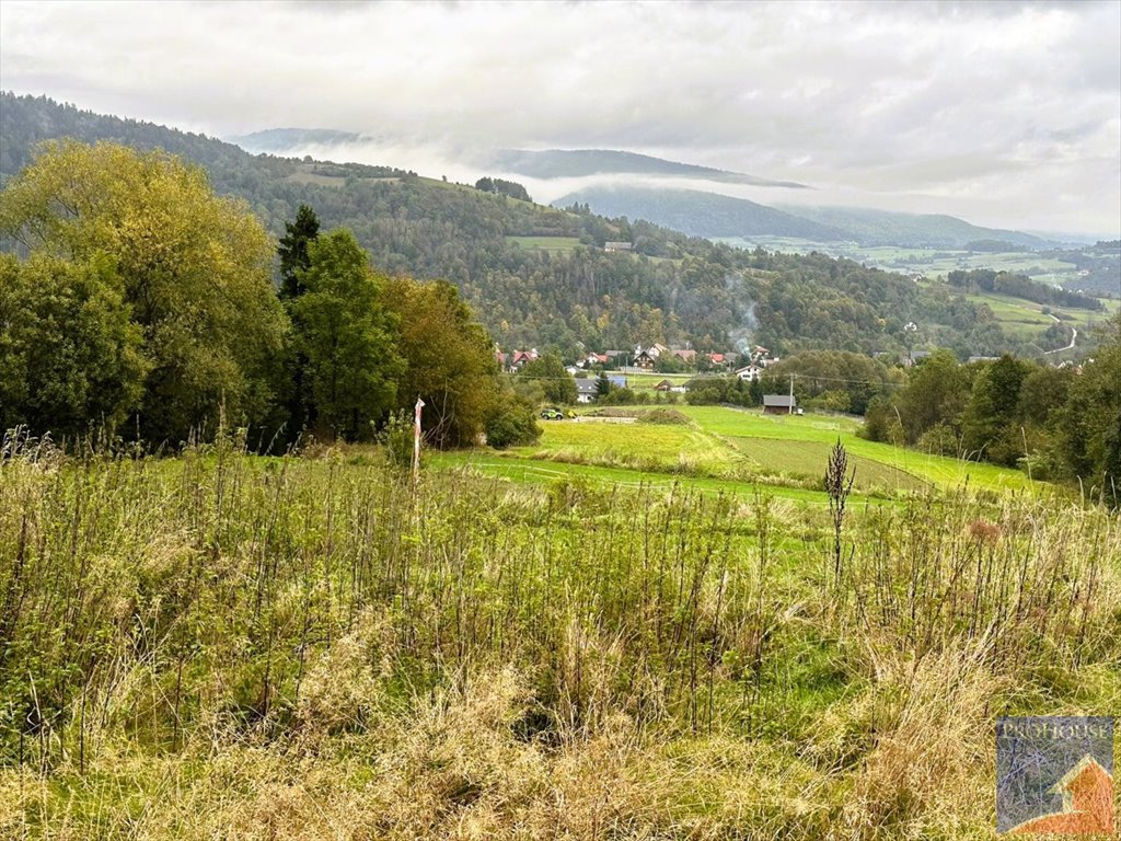 Działka rolna z możliwością zabudowy, 24 ar, Kamienica Kamienica  2 400m2 Foto 1