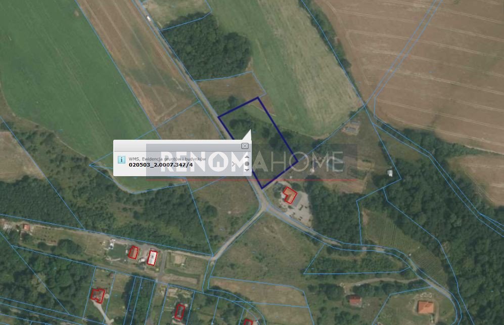 Na sprzedaż działka 47 ar z drzewami i źródłem w Myślinowie Myślinów  4 700m2 Foto 1