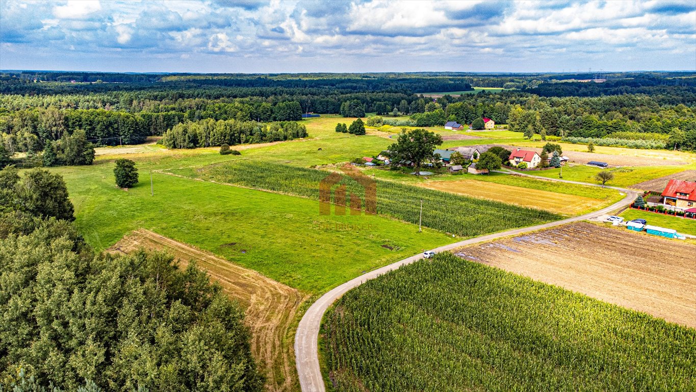 Działka budowlana na sprzedaż Kamionka  4 700m2 Foto 13