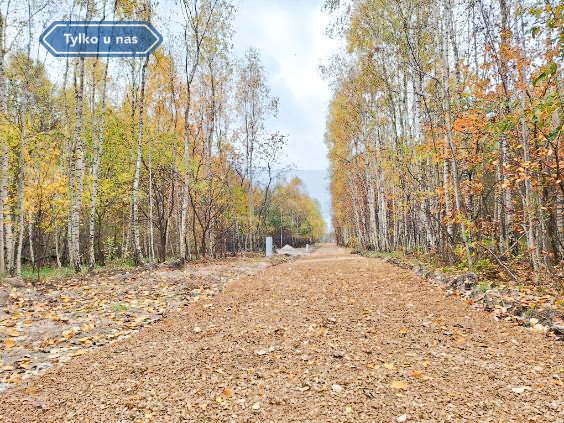 Działka budowlana na sprzedaż Gruszewnia, Górna  610m2 Foto 7