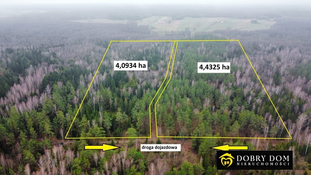 Działka leśna 8,5 ha blisko jeziora - polecam Tajenko  40 934m2 Foto 1