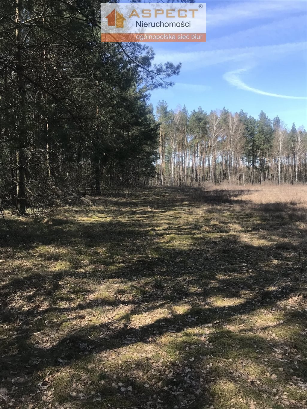 Działka budowlana na sprzedaż Skępe, Ławiczek  3 500m2 Foto 1