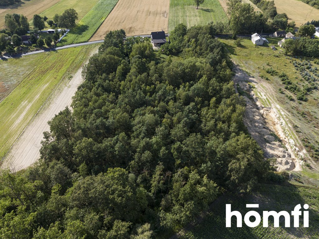 Działka inwestycyjna na sprzedaż Domanin  13 100m2 Foto 7