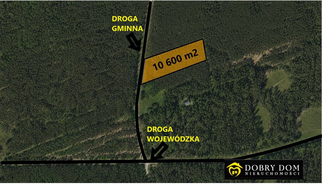 Do sprzedania działka 1,06 ha z lasem, rekreacja i pasieka Talkowszczyzna  10 600m2 Foto 1