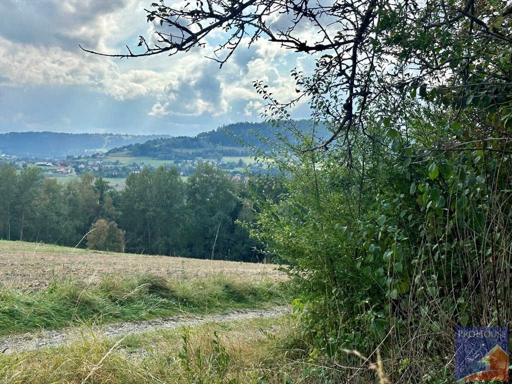 Działka budowlana na sprzedaż Limanowa, Stara Wieś  5 700m2 Foto 4