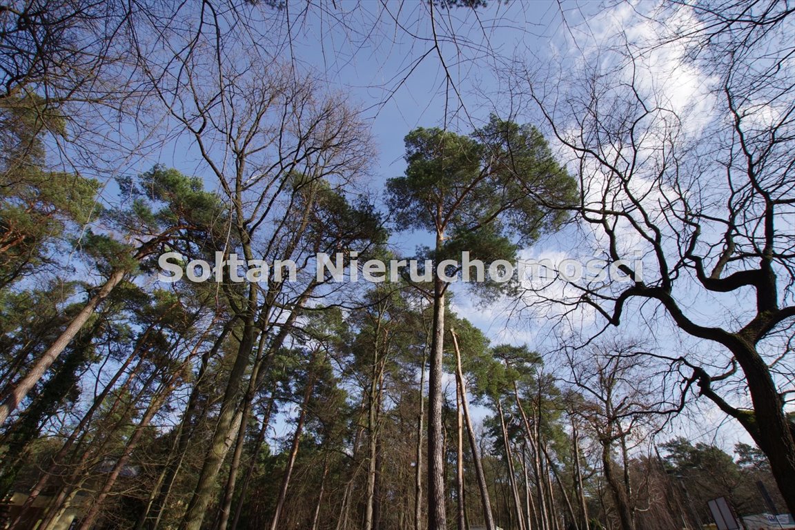 Działka budowlana na sprzedaż Borowina  14 000m2 Foto 8