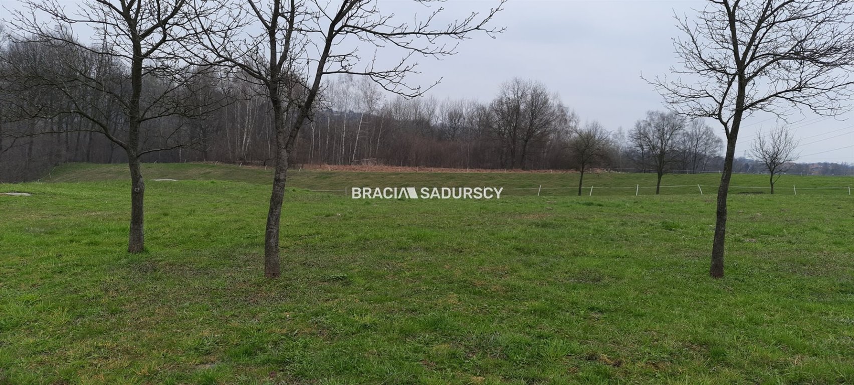 Działka budowlana na sprzedaż Chorowice  3 400m2 Foto 1