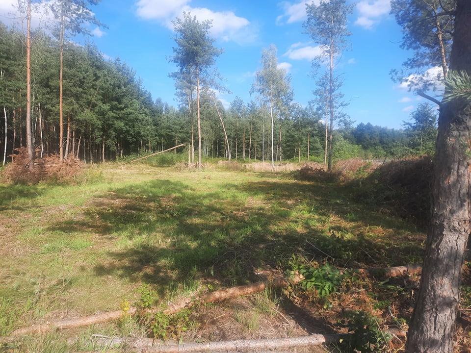 Atrakcyjne działki budowlane w Jesionce – 1360 m², media, dojazd Jesionka  1 360m2 Foto 1