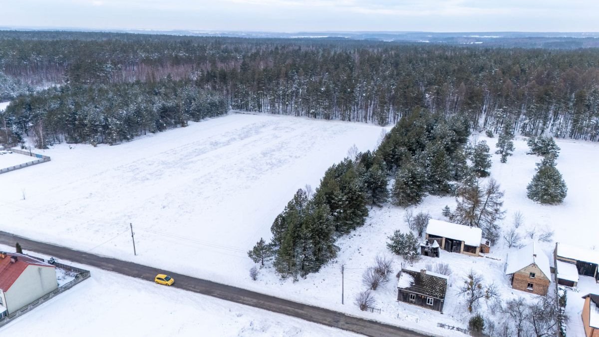 Działka budowlana na sprzedaż Koski Pierwsze  3 754m2 Foto 8