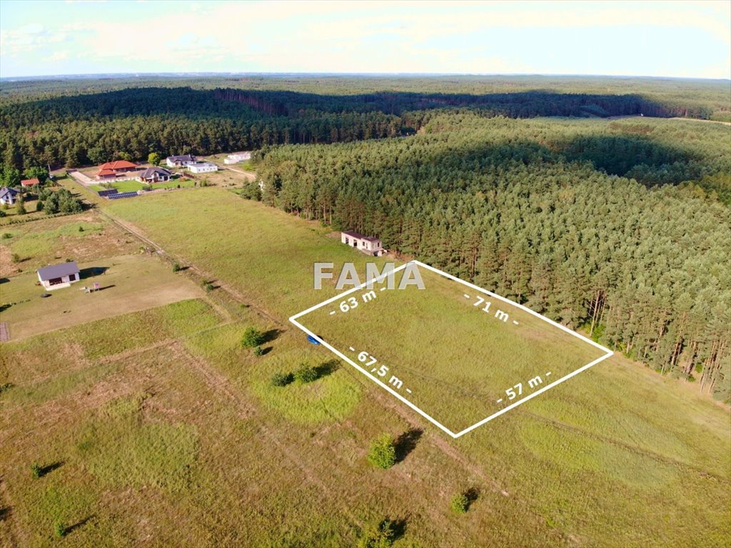 Działka budowlana na sprzedaż Kowal, Dębniaki  4 200m2 Foto 2