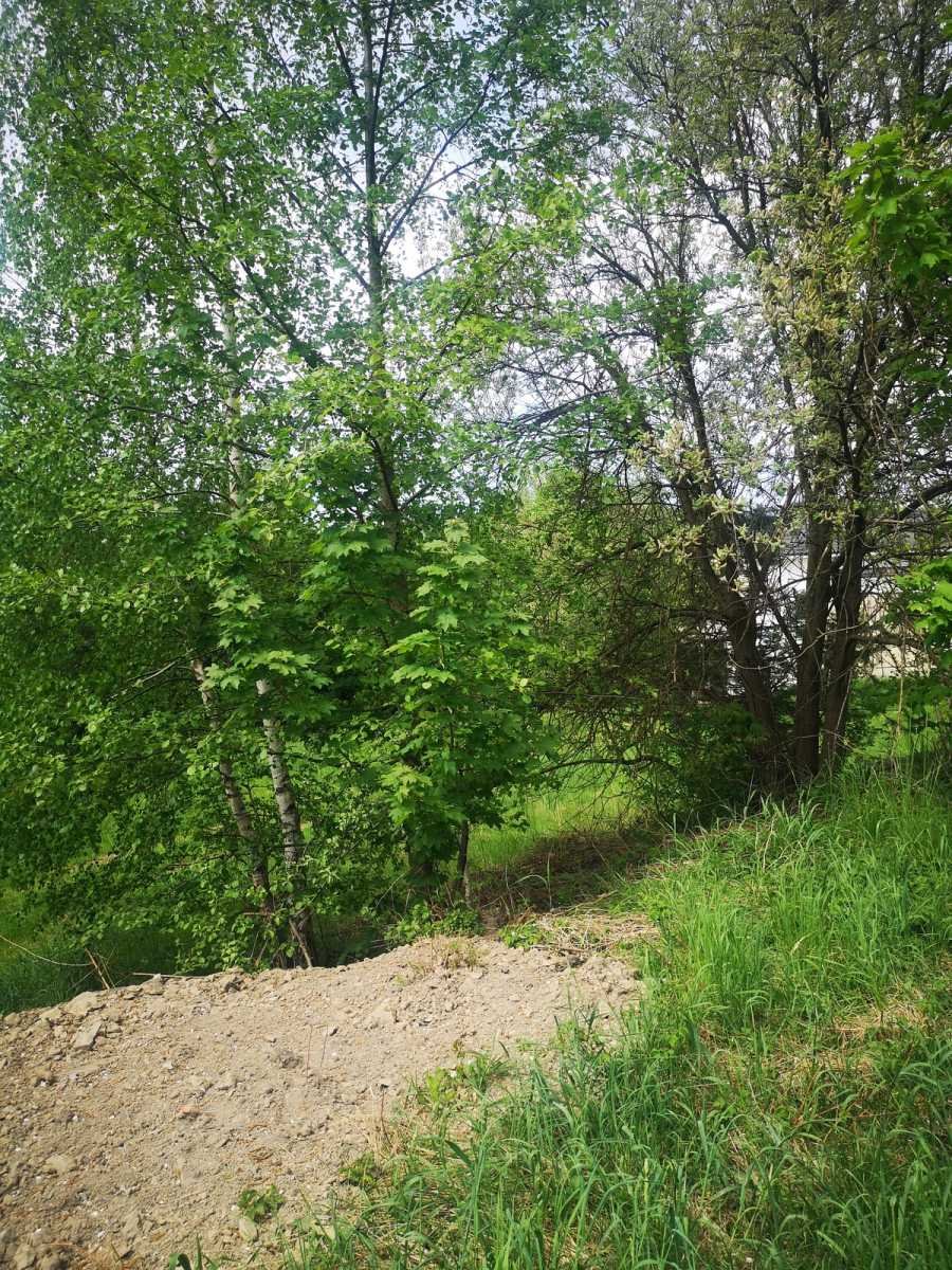 Działka budowlana 2063 m² w Kudowie Zdrój z dostępem do mediów Kudowa-Zdrój  2 063m2 Foto 1