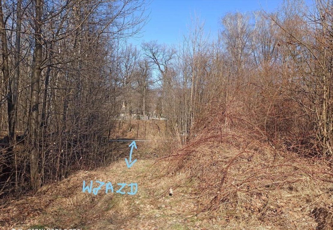 Działka budowlana na sprzedaż Milówka  1 300m2 Foto 13