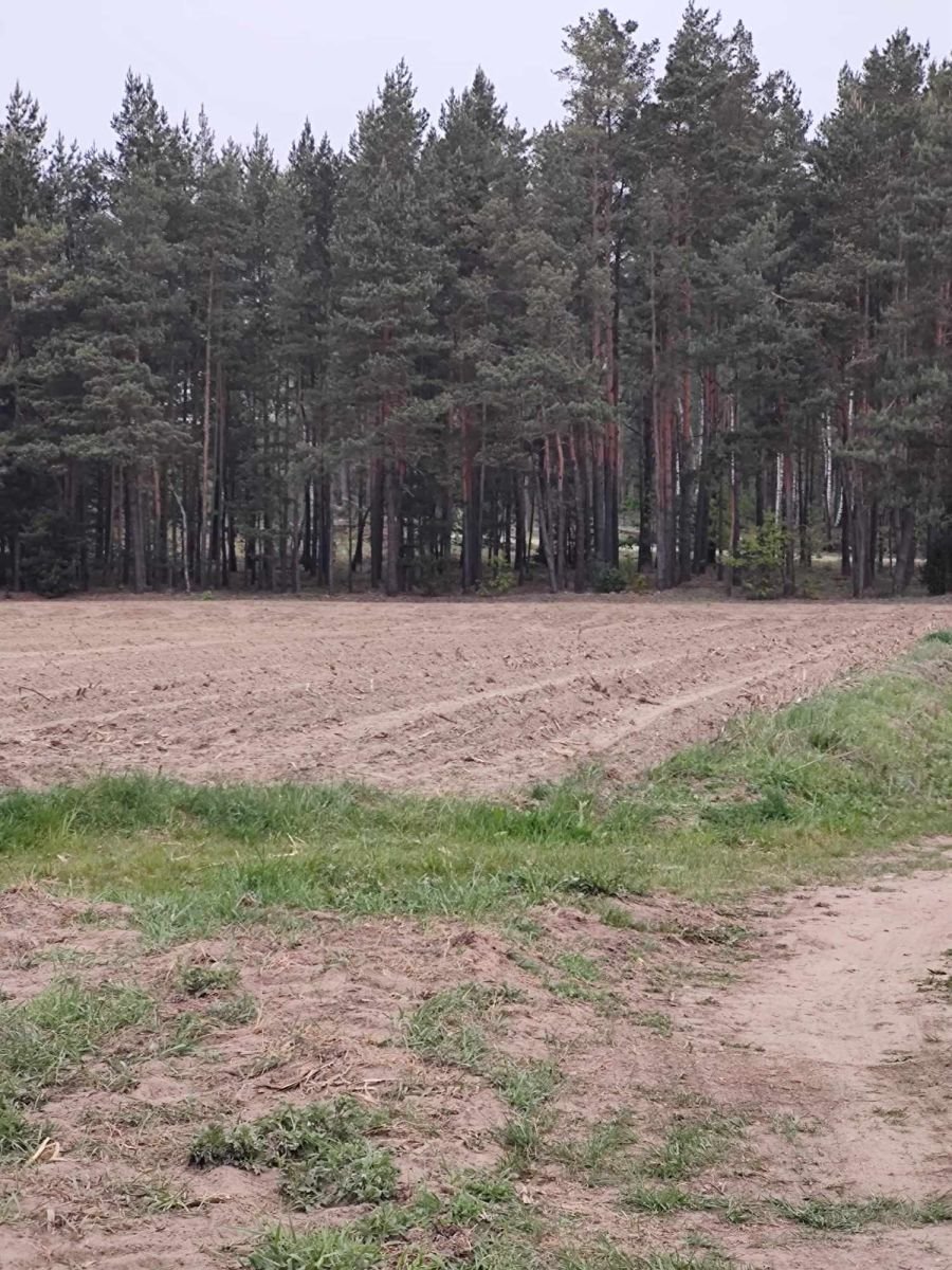 Działka budowlana na sprzedaż Trypucie  1 200m2 Foto 1