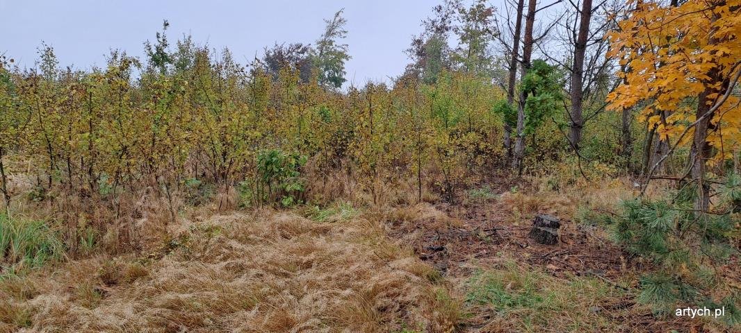 Malownicza działka 1360 m² z widokiem na zalew i mediami Kupientyn  1 363m2 Foto 1