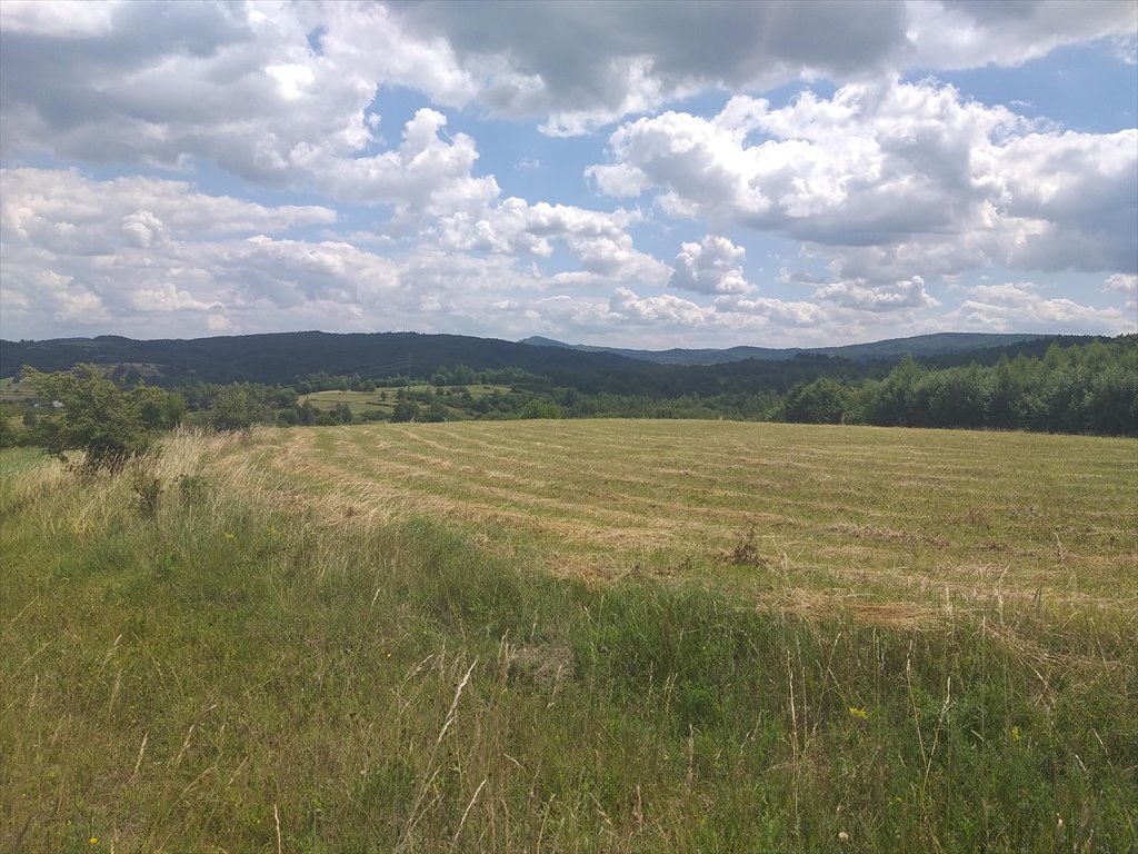 Działka rolna na sprzedaż Makowiska  9 700m2 Foto 5